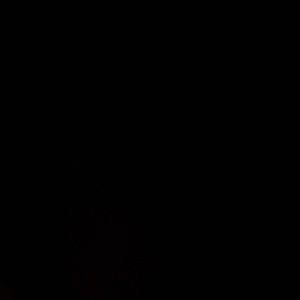 Meet your Posher, Alejandro